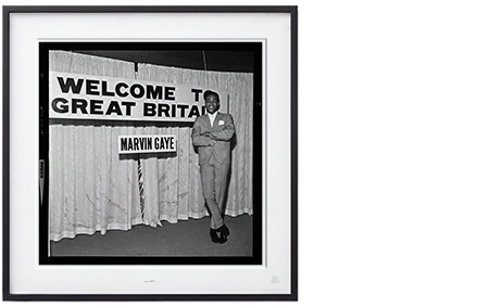 EMI Staff Photographer - Marvin Gaye #8 16"