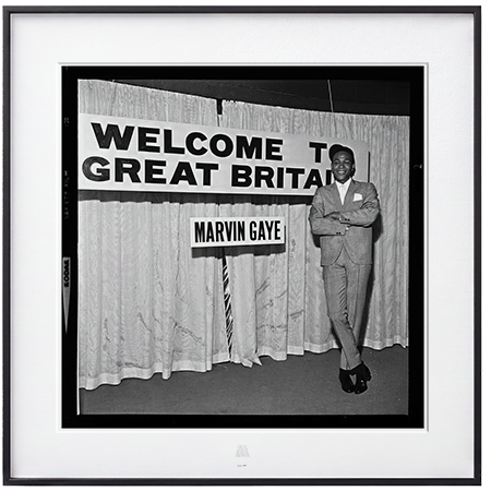 EMI Staff Photographer - Marvin Gaye #8 40"