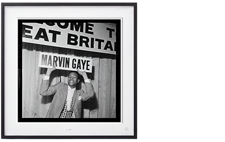 EMI Staff Photographer - Marvin Gaye #9 16"