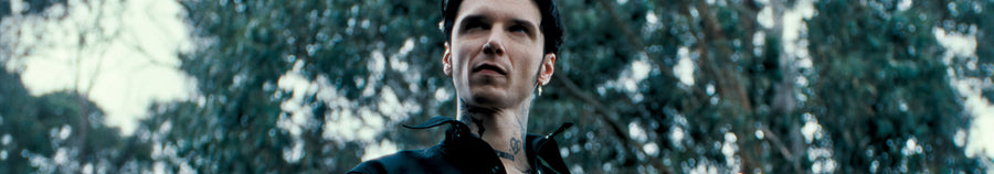 bvb